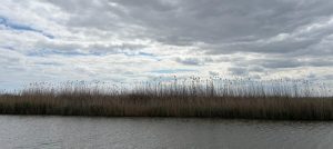 Vreme rece și instabilă, în Dobrogea și pe litoral