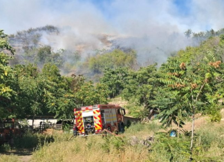 Încă un incendiu de vegetație în județ – a fost afectat și fondul forestier