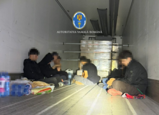 O zi obișnuită în vamă: migranți ascunși printre alune, valize cu țigări de contrabandă și cocktail de pastile ilegale și ierburi