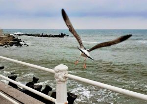 Vremea se răcește, în Dobrogea și pe litoral